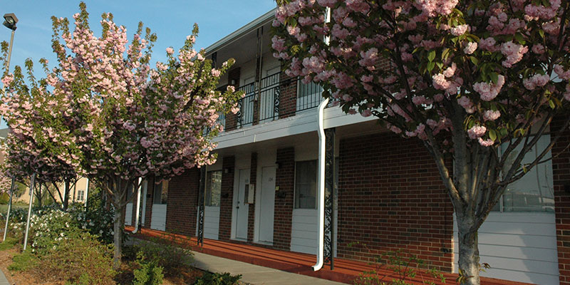 Falcon Flats
