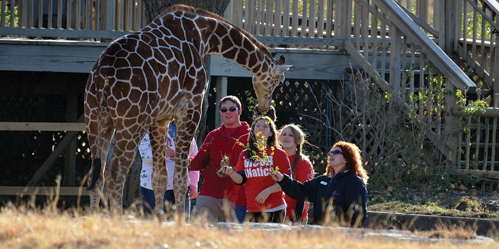 Zoo Science, Bachelor of Science - Friends University